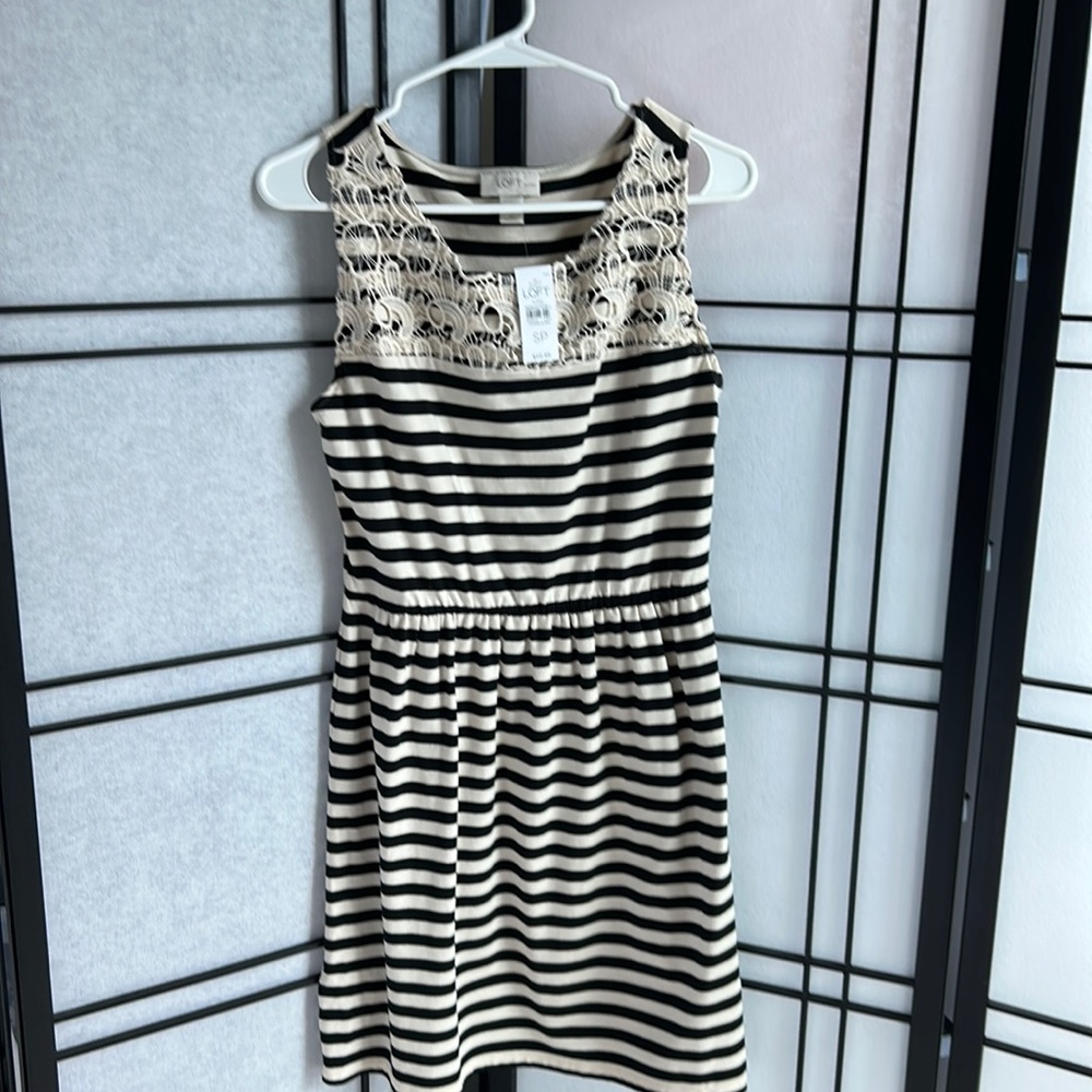 NWT Loft Petite Dress